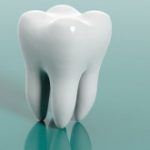 Profile picture of Dr Neha N. Lalwani